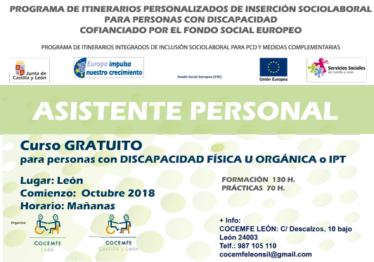 AsistentePersonalITIN18Leon