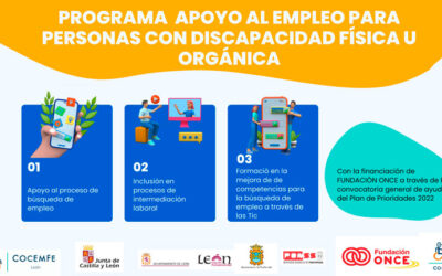 PROGRAMA APOYO AL EMPLEO PARA PERSONAS CON DISCAPACIDAD FÍSICA U ORGÁNICA.