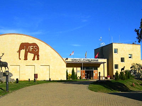 MuseoFaunaSalvaje