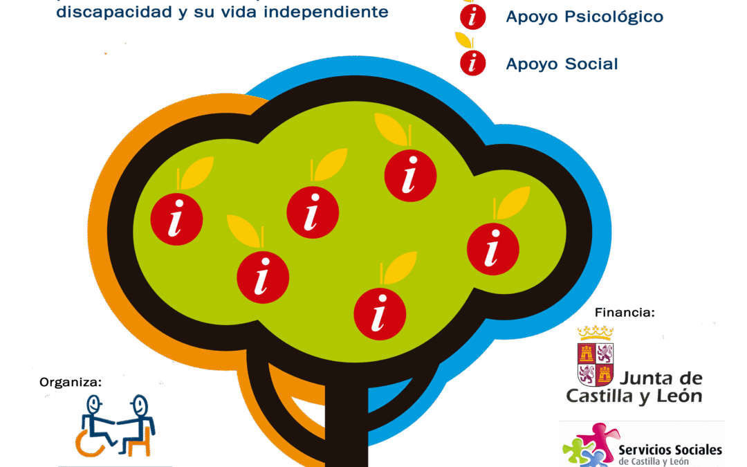 Programas de Atención Integral a Personas con Discapacidad 2025